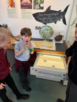P5 Step Back in Time at the Ulster Museum