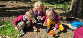 Our Trip to Bangor Castle and Museum